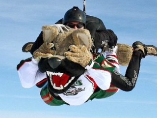 Chilly of the Houston Aeros