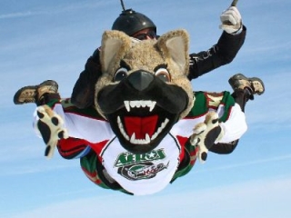 Chilly of the Houston Aeros